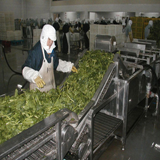 蔬菜食品网带