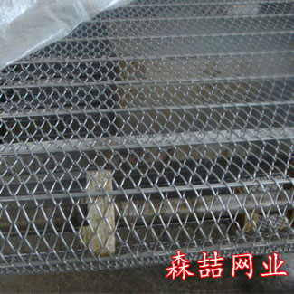 链板式网带就像外来物种入侵普通网带
