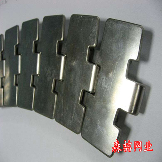 平顶链网带