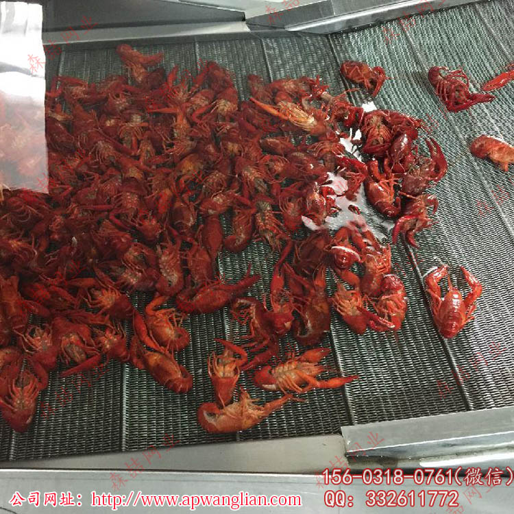 使用环境对输送网带的影响有哪些